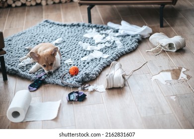 Little puppy making mess in the room - Shutterstock ID 2162831607