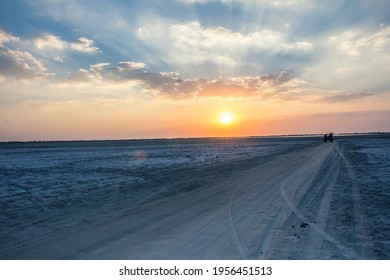 Little Rann Of Kutch, Gujarat, India