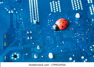 Little red ladybug on a blue motherboard. Concept of computer virus or bug, system failure, problem with technology, software or hardware