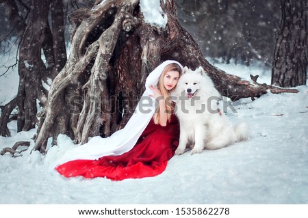Little red riding hood a young beautiful blonde girl in a red dress with a wolf Samoyed dog on the background of a mysterious winter forest. Fantasy winter scene