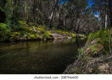 Little River Recovering From Bushfire In Nattai National Park.