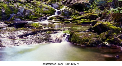 Little river in summer