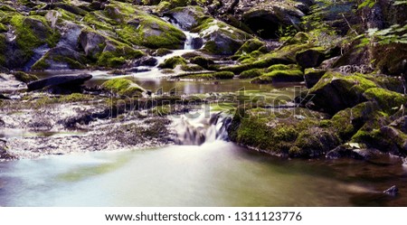 Little river in summer