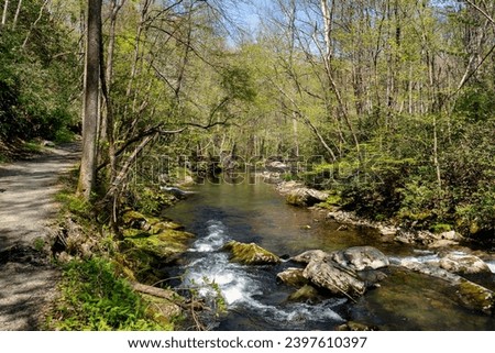 The Little River Trail is a popular hiking trail in GSMNP that runs along the Little River.  Combined with Cucumber Gap Trail, it is a 5.4-mile loop through a mixed forest and riverine habitat.  
