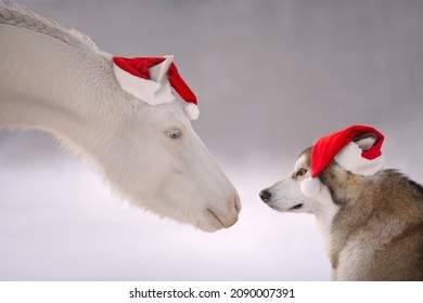 Little Santa's Helpers Is Horse And Dog 