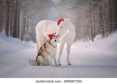 Little Santa's Helpers Is Horse And Dog 