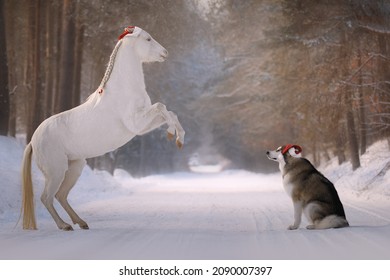 Little Santa's Helpers Is Horse And Dog 