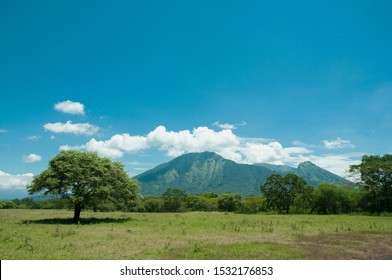 Little Savana On Baluran National Park