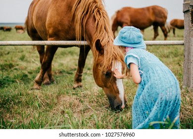 Little Scared Funny Child Feeding Wild Horse With Grass. Wary Frightened Girl Touching Horse Muzzle Outdoor At Nature. Overcoming Fear. Animal Expressive Face. Lovely Kind Kid In Blue Beautiful Dress