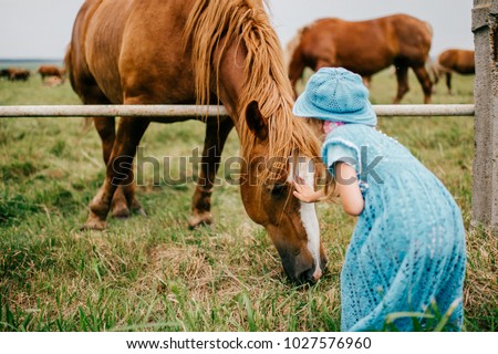 Little scared funny child feeding wild horse with grass. Wary frightened girl touching horse muzzle outdoor at nature. Overcoming fear. Animal expressive face. Lovely kind kid in blue beautiful dress