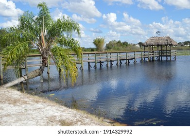 A Little Serenity In Clermont Florida