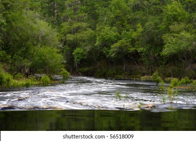 Little Shoals On The Suwannee River