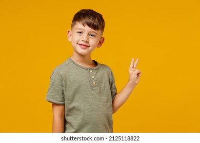 Little small cheerful smiling happy boy 6-7 years old wearing green casual t-shirt showing victory sign isolated on plain yellow background studio portrait. Mother's Day love family lifestyle concept - Shutterstock ID 2125118822