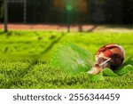 Little snail in garden on green grass