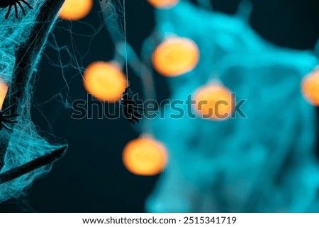 A little spider caught in a spider web. Halloween. Brightly colored pumpkins. Spider web and spiders. Background