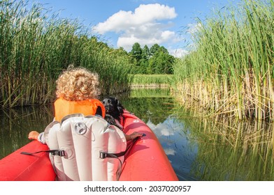 A Little Sporty Girl In A Life Jacket Floats On The Zdwyzh River On A Red Kayak With A Black Dog Cocker Spaniel. Ukraine