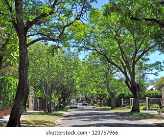 Little Suburban Street Full Of Green Trees. Adelaide, Australia