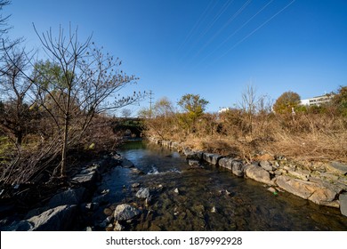 Little Sugar Creek NC USA