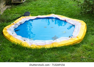 Little Swimming Pool Deflated At The End Of Summer