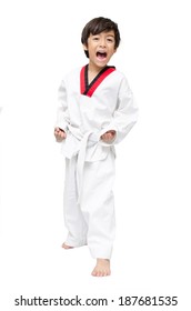 Little Tae Kwon Do Boy Martial Art