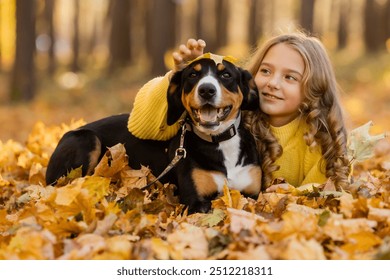 little teenage girl walks with her dog in the autumn in the forest. High quality photo - Powered by Shutterstock