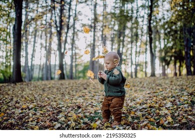 Little Toddler Boy Exploring Nature And Holding Pine Cone Outdoors In Autumn Forest.