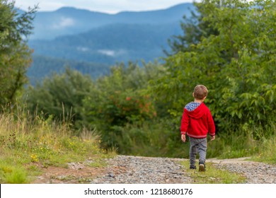 Little toddler boy in red jacket walking alone through  forest. Path in life. Bullying in school concept. Scare and fright. Back view