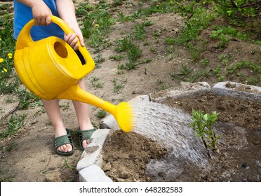 Little toddler boy watering plants with watering can in the garden. Activities with children outdoors.