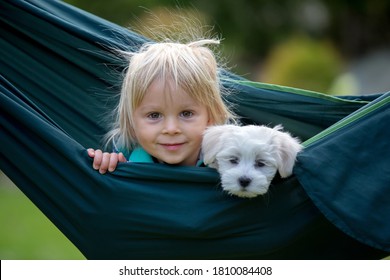 Little toddler child, blond boy, playing with little maltese puppy dog in swing in garden autumn time