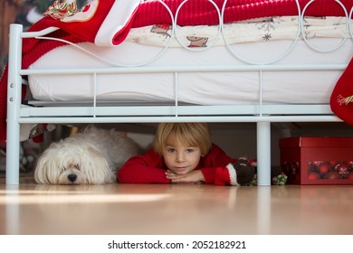 Little Toddler Child, Hiding Under The Bed With His Pet Dog, Maltese White Puppy, Scared From Nightmare Monsters