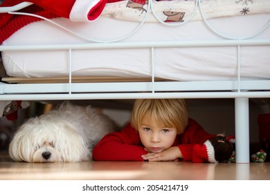 Little Toddler Child, Hiding Under The Bed With His Pet Dog, Maltese White Puppy, Scared From Nightmare Monsters