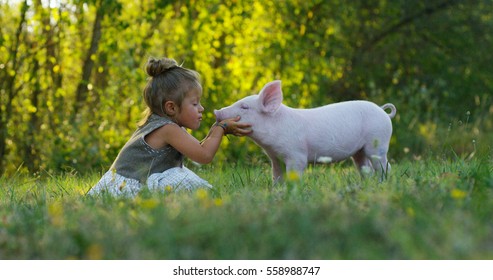 The little toddler girl caresses and kisses pig piglet on a green meadow. concept of sustainability, love of nature, respect for the world and love for animals. Ecologic, biologic, vegan, vegetarian