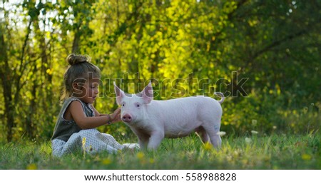 The little toddler girl caresses and kisses pig piglet on a green meadow. concept of sustainability, love of nature, respect for the world and love for animals. Ecologic, biologic, vegan, vegetarian