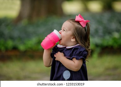 Little Toddler Preschool Girl In Navy Dress Drinking From Sippy Cup