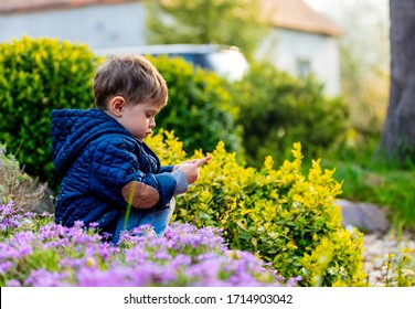 Little Todler Playing With Flowers In The Garden