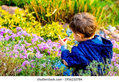 Little Todler Playing With Flowers In The Garden