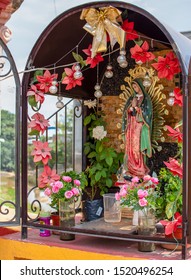 Little Town Virgen Guadalupe Altar Flowers Saint Mary