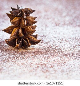 Little Tree Made From Star Anise. Selective Focus.