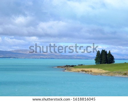 Little Trees in the Blue Lake of Southern Island of Newzealand