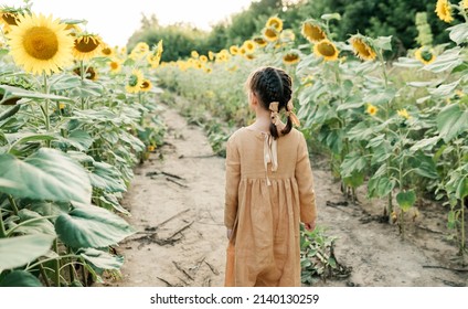 Little Ukrainian Girl Wearing Linen Mustard Dresshaving Hair In Two Plaits Standing In Sunflower Field And Looking Ahead. People From Behind