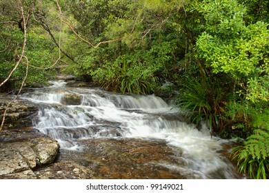 Little Waterfall, Gold Coast Hinterland, Queensland Australia