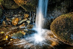 Little Waterfall And Moss At Solana Toro Stream In The Iruelas Valley. Avila. Spain.