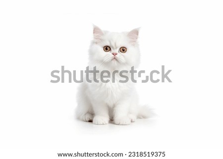 Similar – Image, Stock Photo little cat baby cat