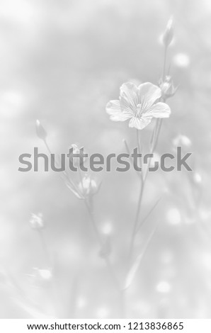 Similar – Image, Stock Photo silver wedding anniversary