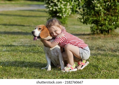 Little White Girl Is Playing With A Beagle Dog. Photo Shoot In Summer On The Street