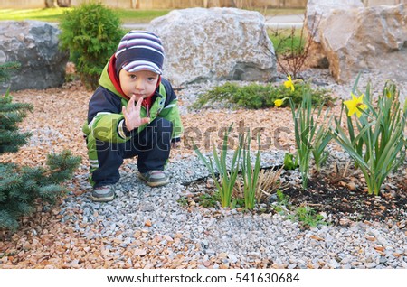 Little white kid shows up hi in the flower bed with daffodils.