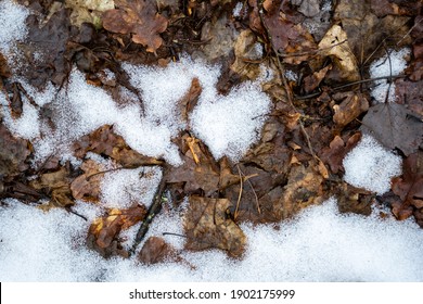 a little white snow and brown autumn leaves form a beautiful texture