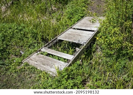 Similar – Image, Stock Photo Holzpaddel lehnt, halb von der Trauerweide bedeckt, an der sonnenwarmen Steinmauer.