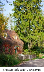 Little Wooden Fairy Tale House In A Tree Trunk. 