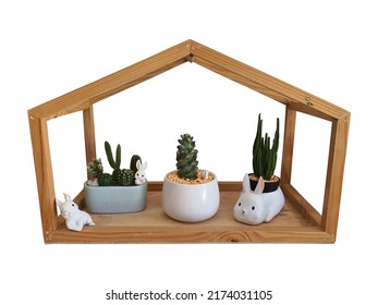 Little Wooden House 3 Cactus Trees 